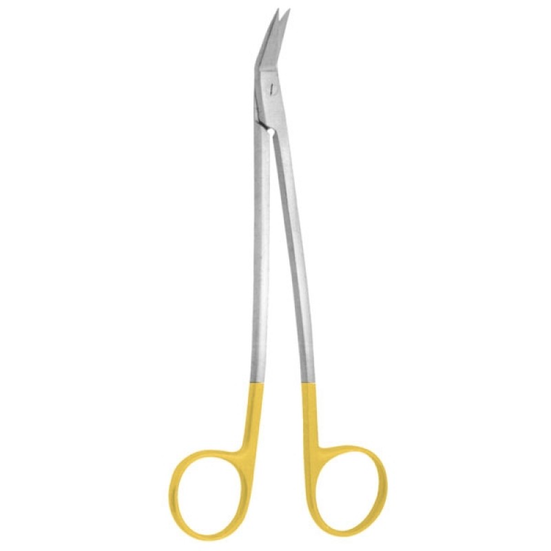 DENTAL SCISSORS