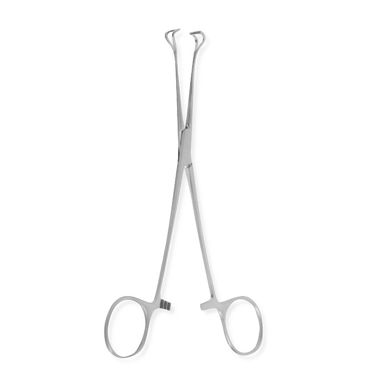 PETIT BABCOCK TISSUE FORCEPS