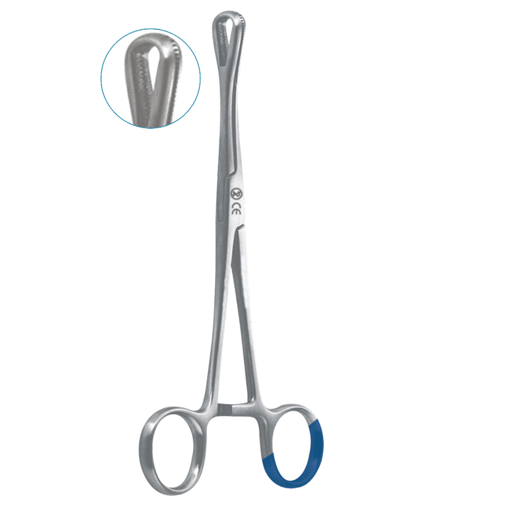 Sponge Forceps